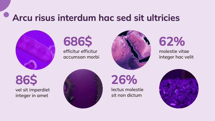 Bold Circle Violet slide 3